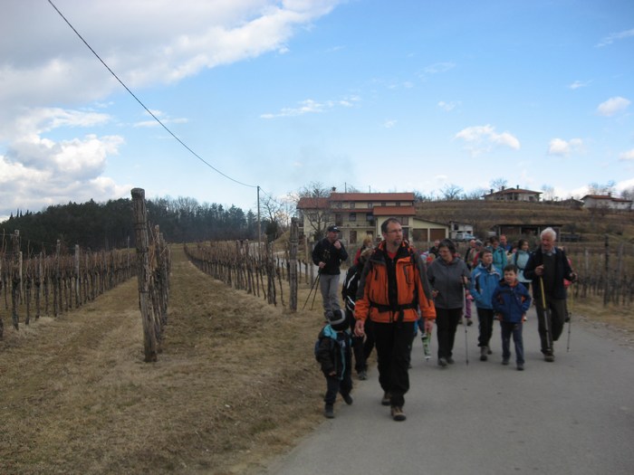 Mimo briških vinogradov